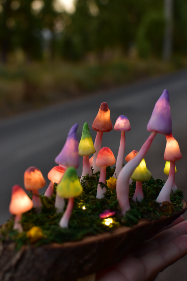 Campo Hongos Luminosos - Imagen 7