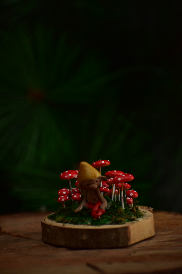 Campo Hongos Miniatura - Imagen 2