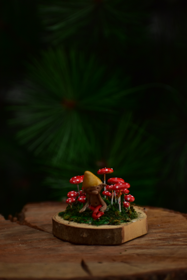 Campo Hongos Miniatura - Imagen 3