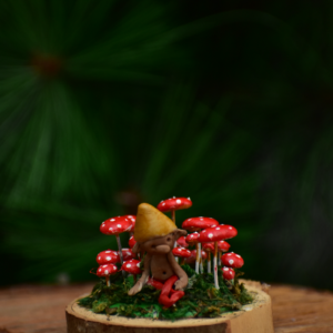 Campo Hongos Miniatura