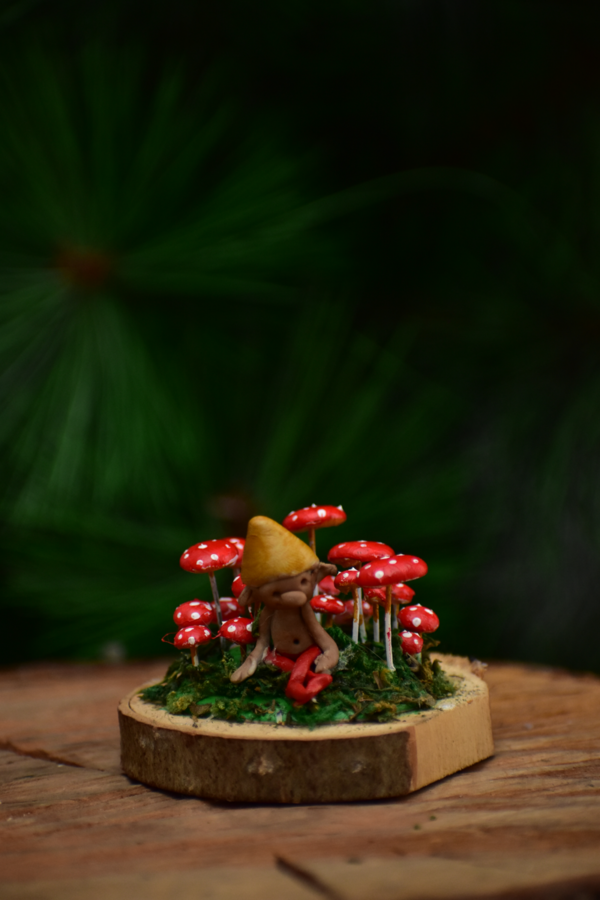 Campo Hongos Miniatura