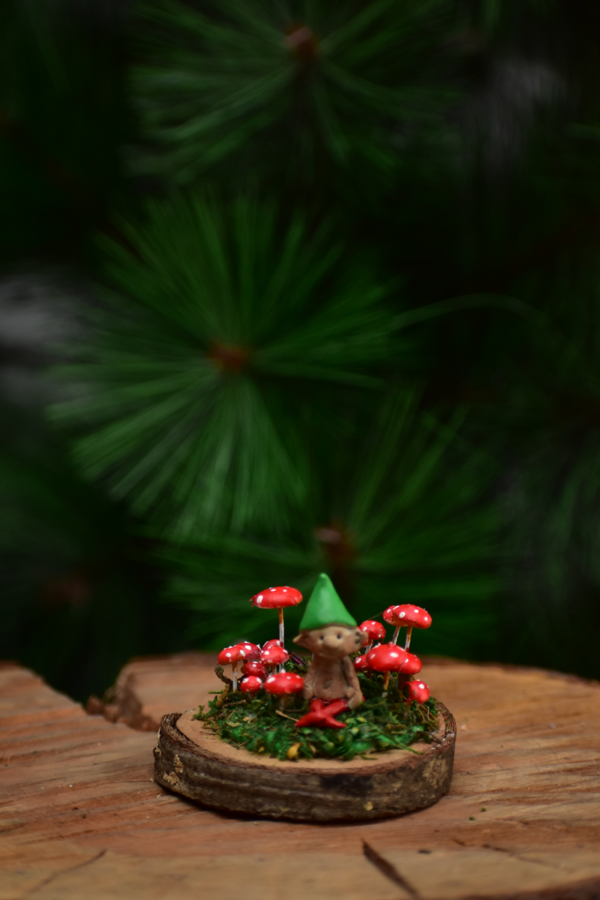Campo Hongos Miniatura - Imagen 4