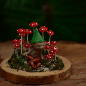 Campo Hongos Miniatura