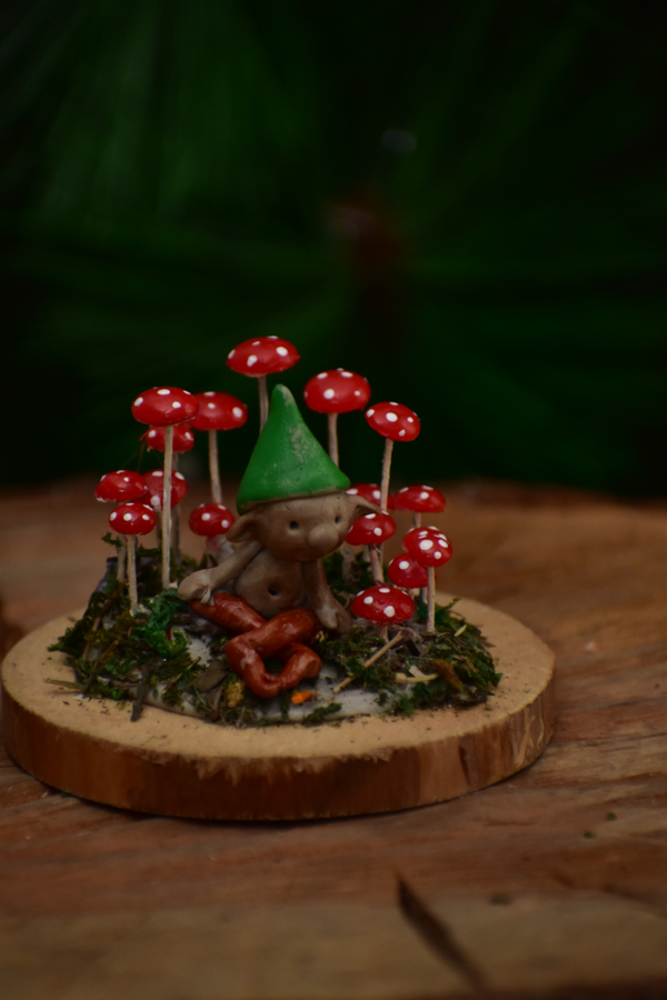 Campo Hongos Miniatura