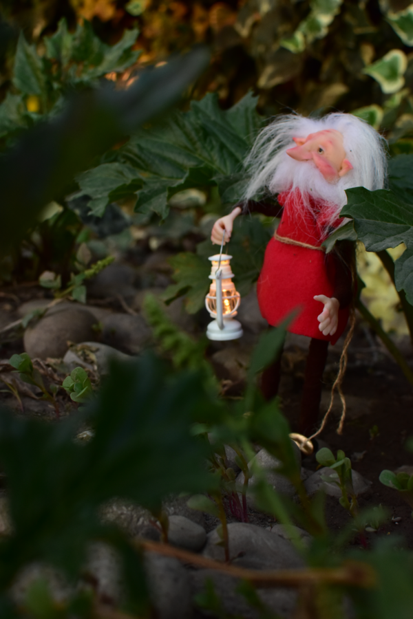 Duende Luminoso - Imagen 4